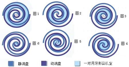 涡旋式无油空压机